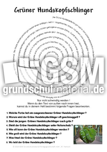 Grüner Hundskopfschlinger.pdf